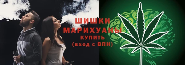 меф Няндома