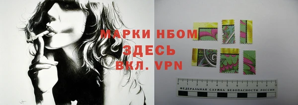 Альфа ПВП Новодвинск