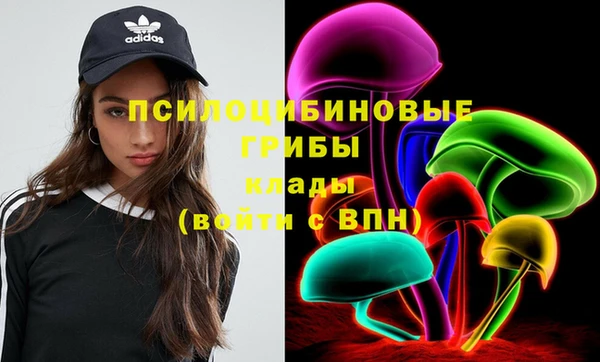 меф Няндома