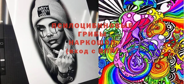 меф Няндома