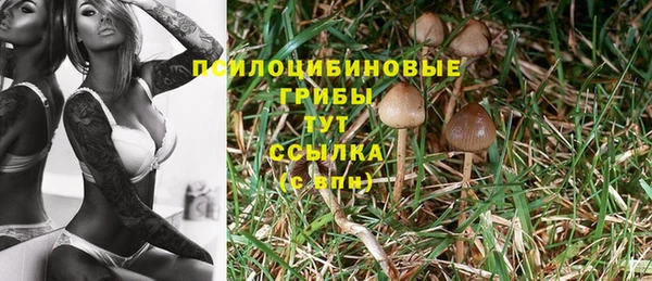 МДМА Нязепетровск